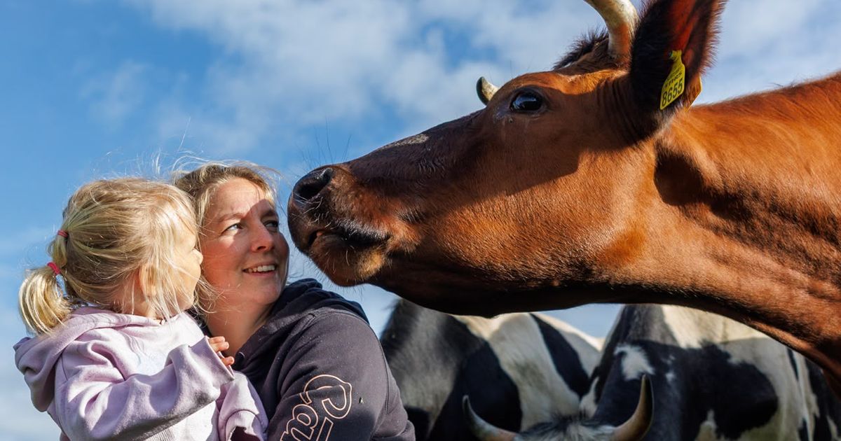 Boerin Welmoed weer thuis na avontuur in Nieuw-Zeeland: 