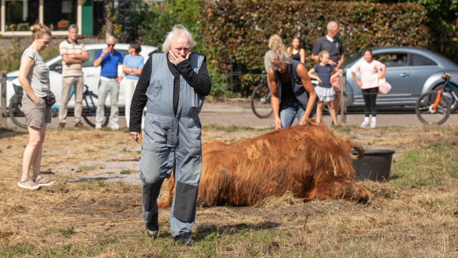 Verzorger Mario neemt emotioneel afscheid van zijn geliefde 20-jarige Schotse hooglander