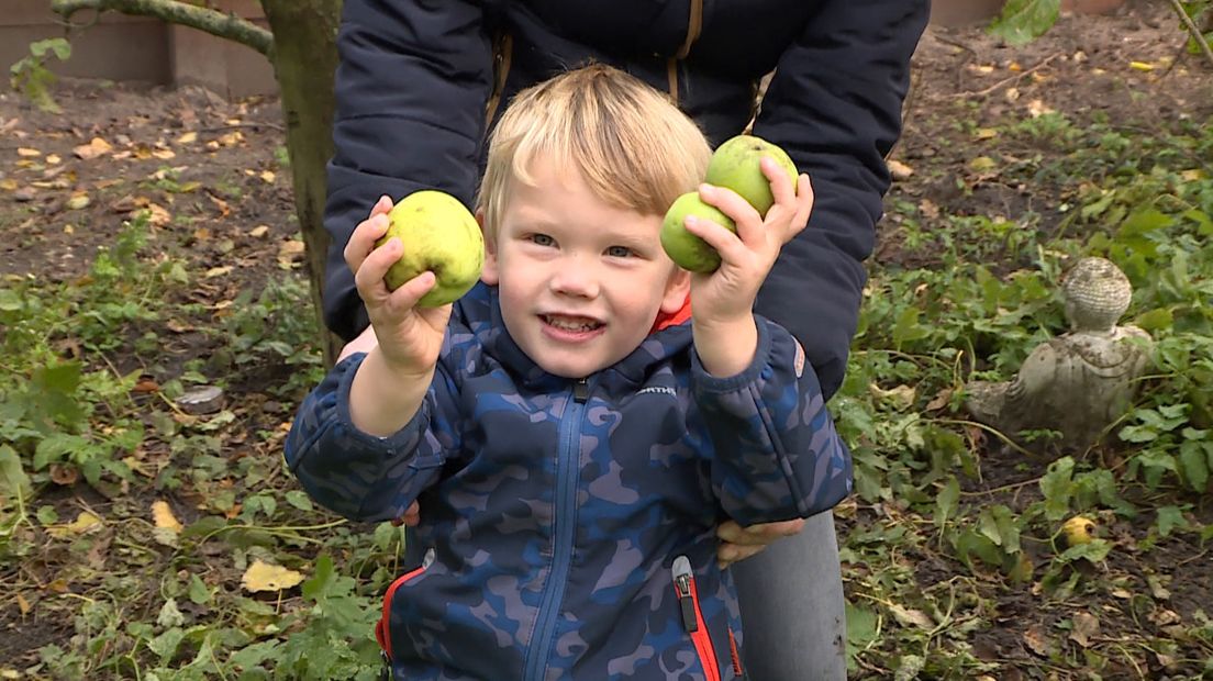 De 3-jarige Siebe laat vol trots zien hoeveel appels hij heeft geplukt