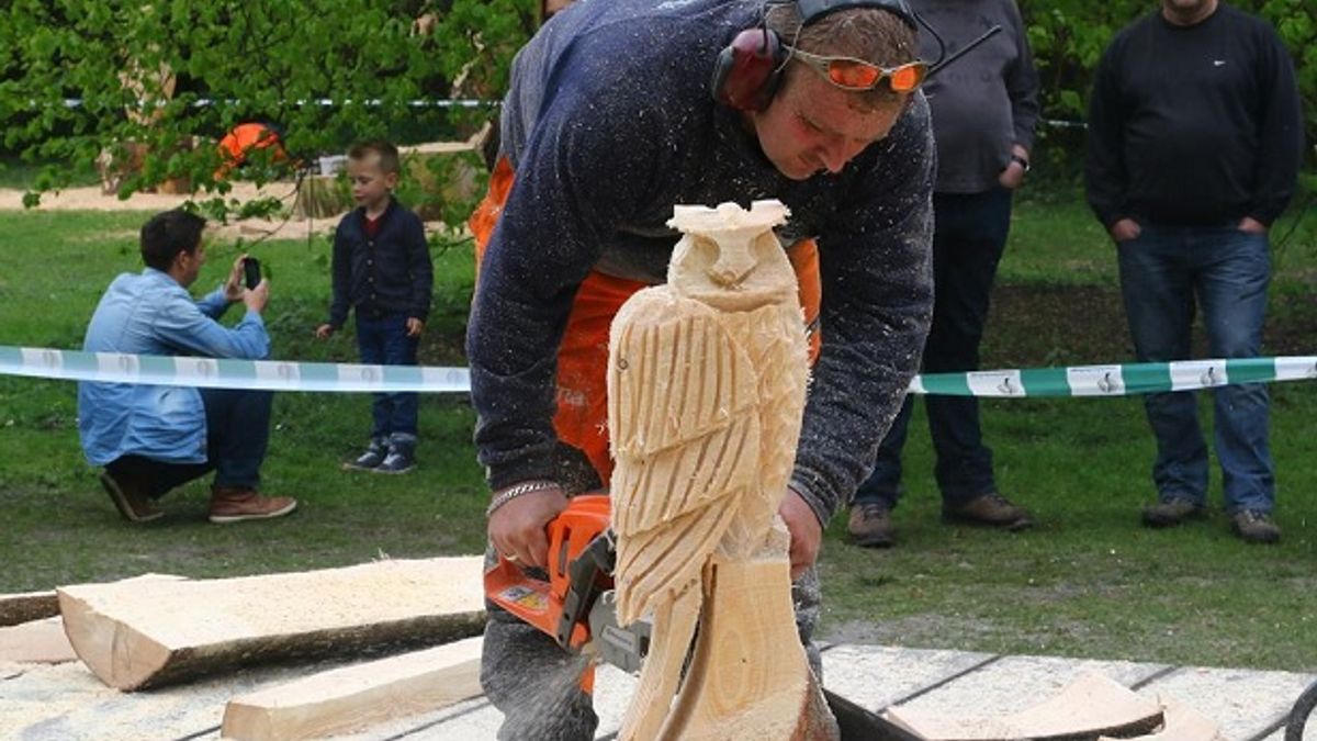Kunst maken met boomstam en motorzaag: het gebeurt in Drouwen