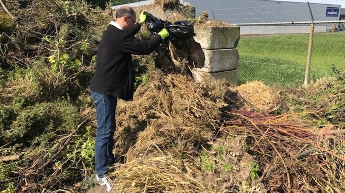 Buxusmot is weer terug
