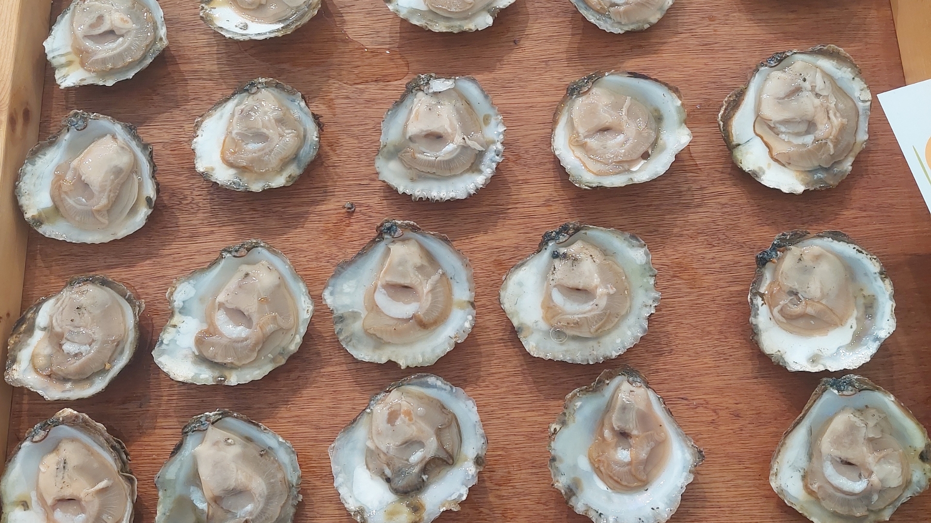 Nationale Oesterdag: dit vonden deze mensen van hun allereerste oester