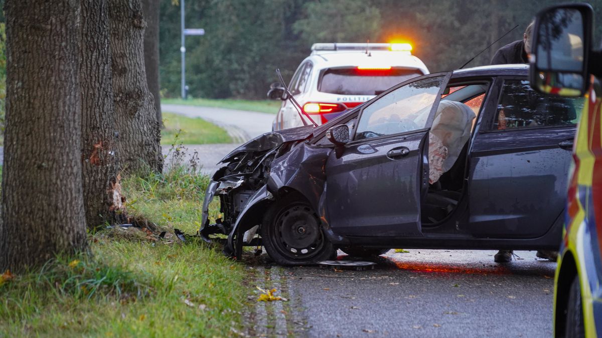 Auto total loss door botsing met boom bij Peize