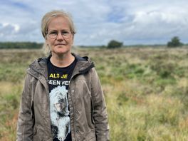 Schaapherder gestopt met begrazen voor Staatsbosbeheer: 'Mijn passie en bedrijf zijn kapotgemaakt'