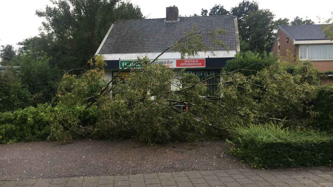 In Mijdrecht is een boom omgewaaid