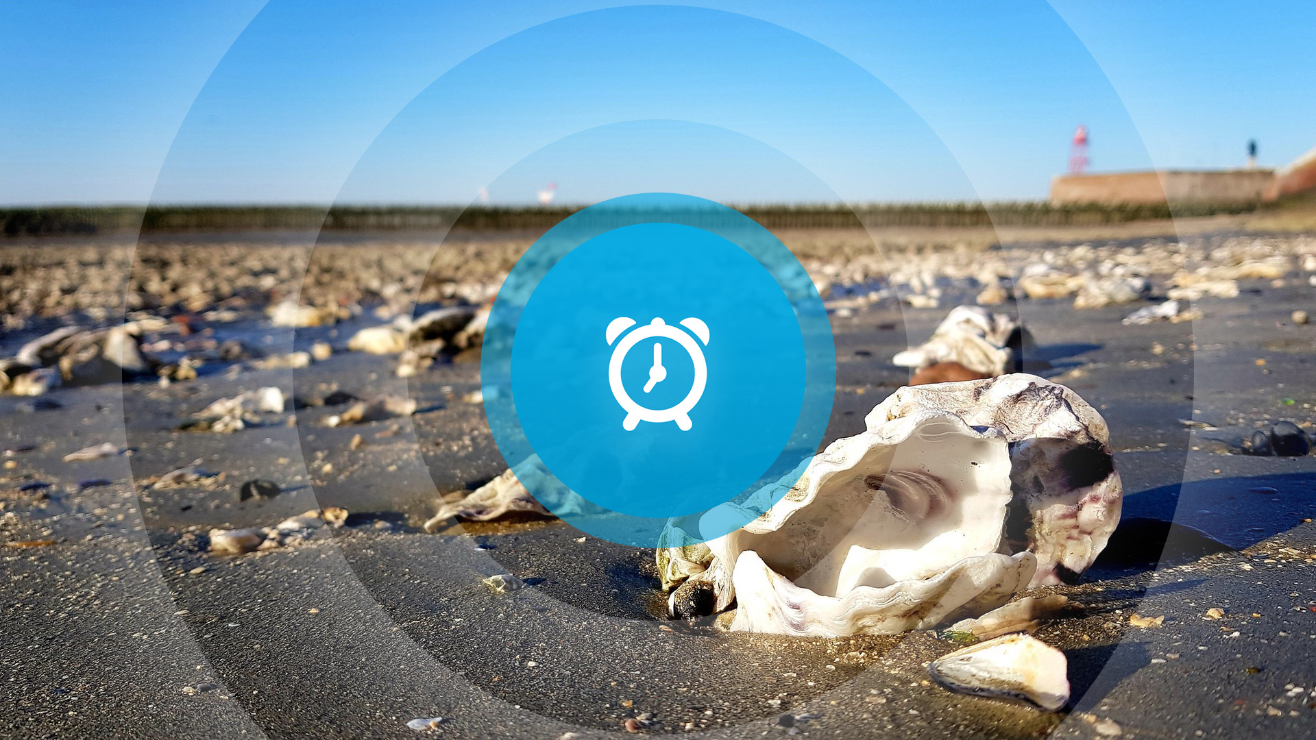 Goedemorgen! Walcherse dorpentocht, 0.0-bier in Ellewoutsdijk en Nationale Oesterdag