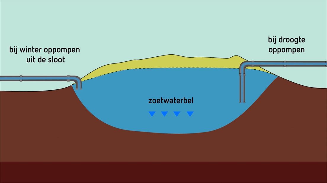 Geprobeerd wordt de zoetwaterbel onder de kreekrug groter te maken