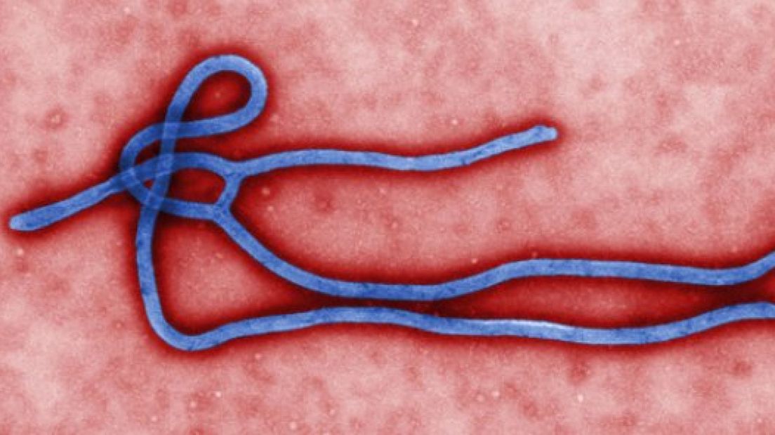 De Apeldoornse arts die zondag werd opgenomen in het Leids Universitair Medisch Centrum omdat zij mogelijk besmet is met ebola, is maandag vertrokken naar een geheime plek.