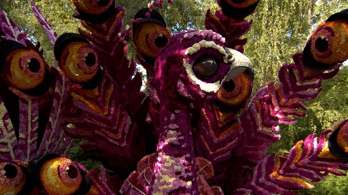 'Oogcontact' van Veur Mekare?! wint het Bloemencorso van Lichtenvoorde