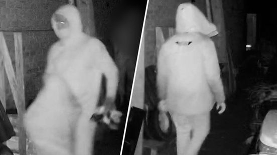 ‘Ik wil geen problemen’: insluiper betrapt in woning Twello