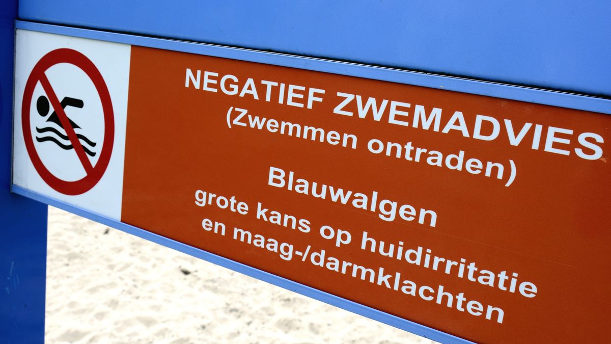 Negatief zwemadvies voor zwemplas in Olst vanwege blauwalg