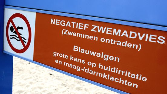 Negatief zwemadvies voor zwemplas in Olst vanwege blauwalg Nieuws