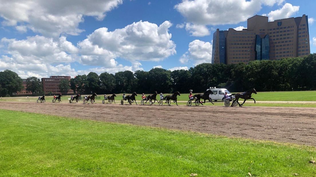 Een lange sliert paarden op volle snelheid op de drafbaan in Groningen