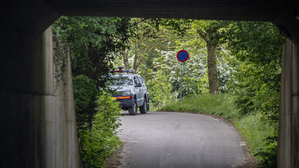 Geen treinen tussen Amersfoort en Amsterdam door vondst van vliegtuigbom in Weesp