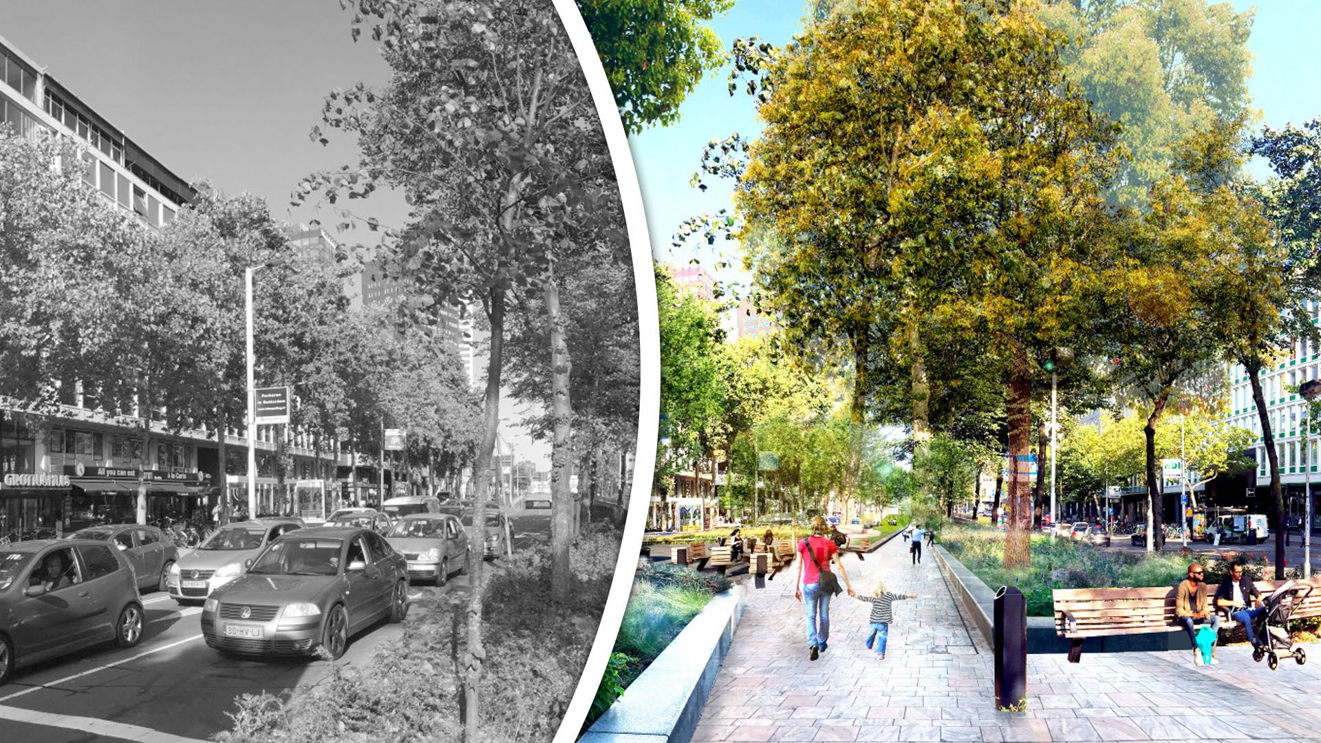 Deze 7 plekken moeten Rotterdam 'groene stadslongen' geven