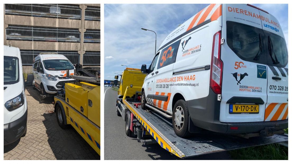 Foto's: Dierenambulance