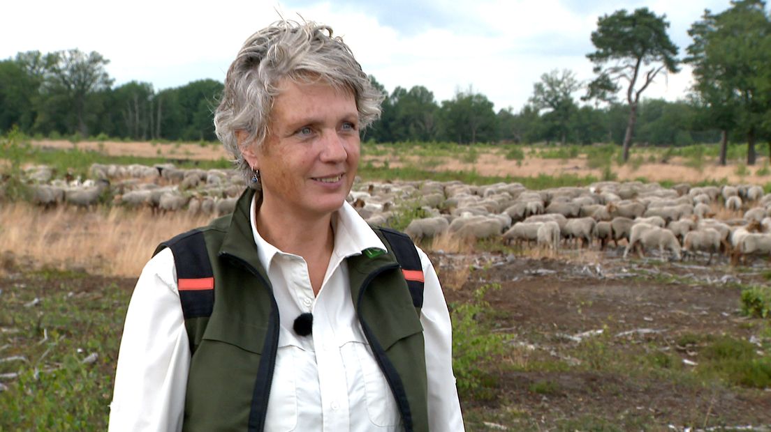 Ine Nijveld Staatsbosbeheer