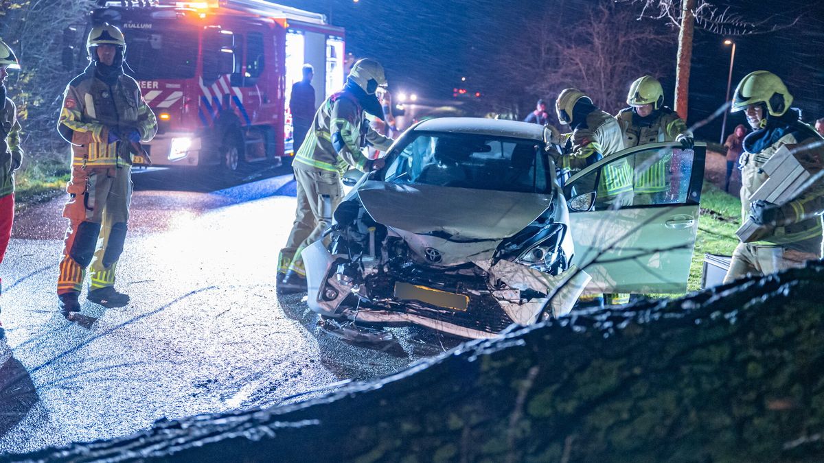 Brandweer van Tjalleberd rijdt twee keer uit voor omgevallen boom | Twee afvaarten tussen Harlingen 