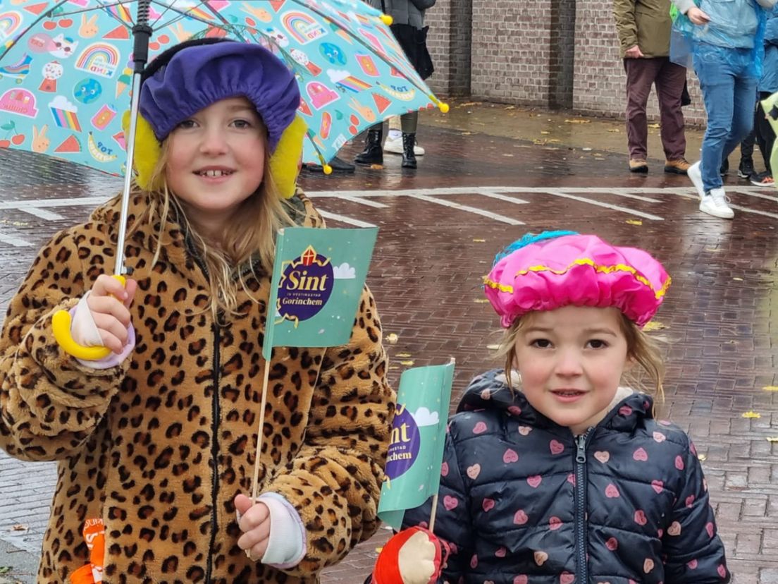 Veel kinderen zijn naar Gorinchem gekomen voor de Sinterklaasintocht