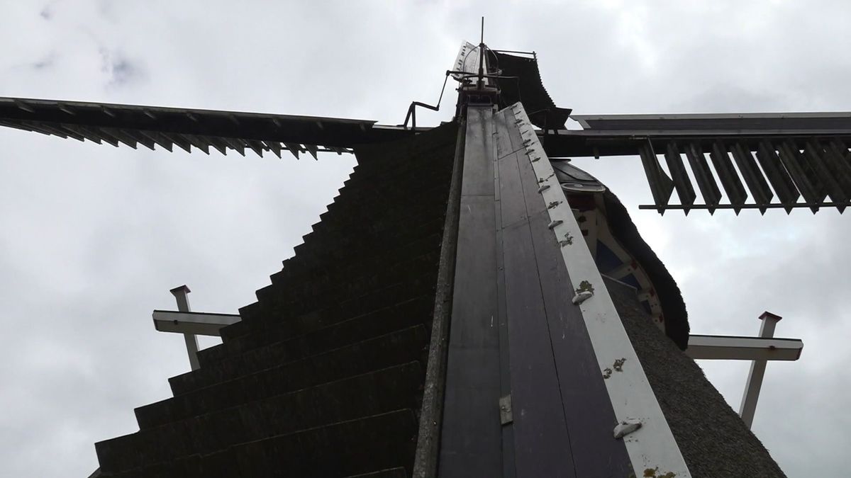 Rotte wieken bij grootste molen van Fryslân; molenaar nu al 'verliefd' op nieuw kruis