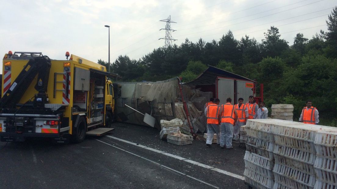 Verkeer op de A50 richting Apeldoorn moet tot laat deze vrijdagmiddag rekening houden met vertraging. Een vrachtwagen met 6000 kippen is op de weg omgeslagen. Twee rijstroken zijn afgesloten. De afwikkeling van het ongeval duurt volgens Rijkswaterstaat tot ongeveer 15.30 uur.