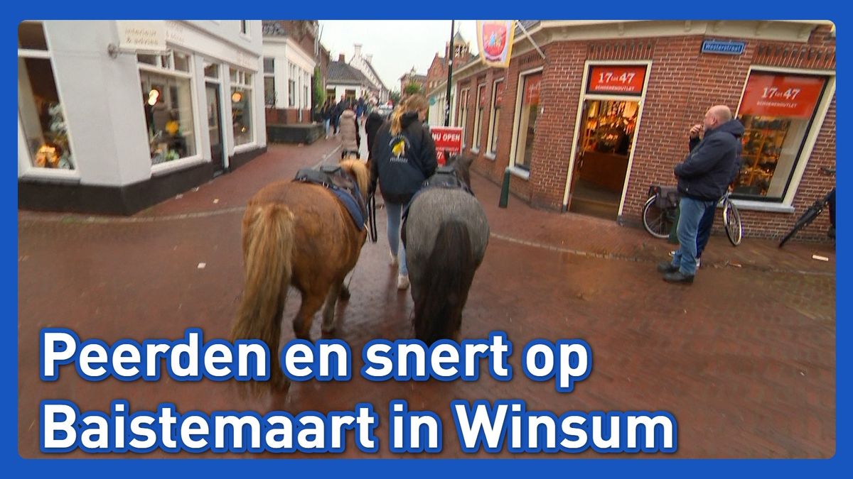 Baistemaart in Winsum