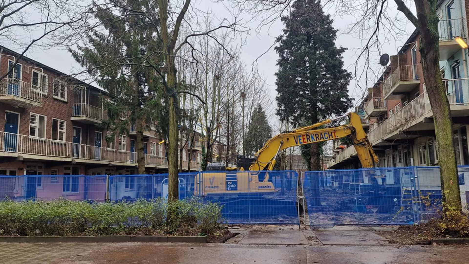 Omwonenden Boos En Teleurgesteld Na Illegale Bomenkap In Utrecht ...