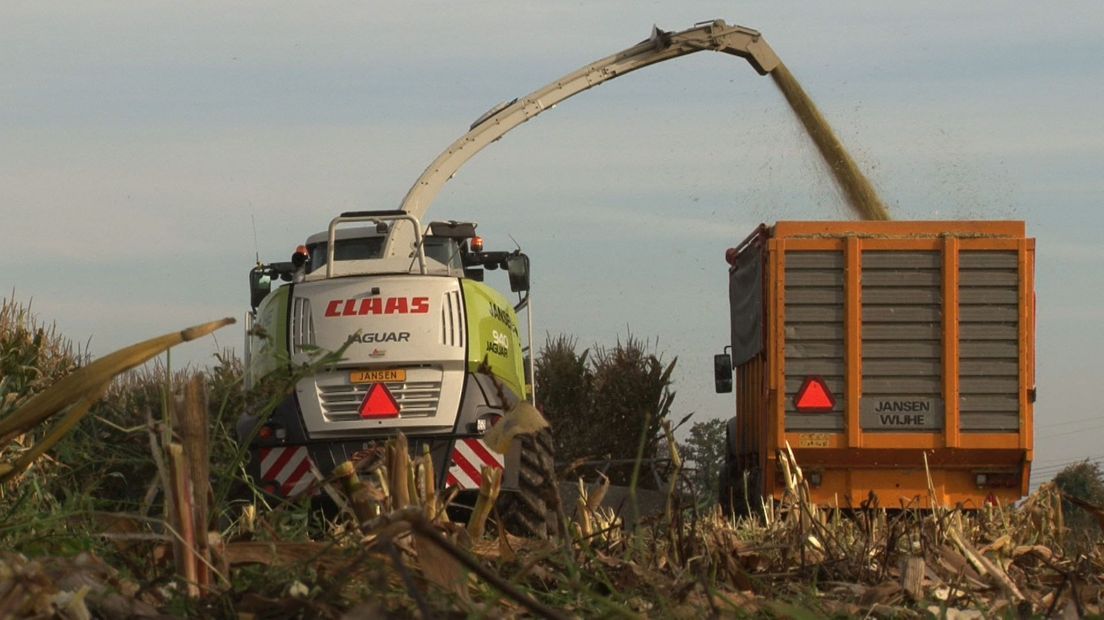 Crossen op een net geoogst maisland is geen goed idee, zo waarschuwt politie Staphorst