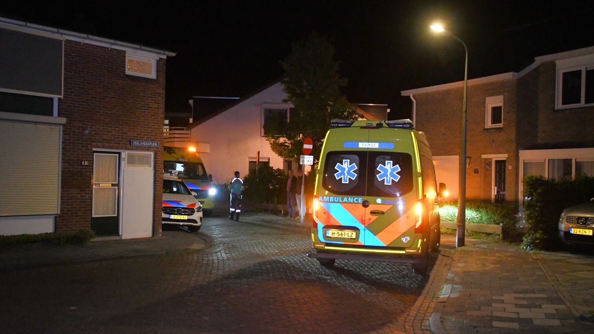 Souburger (24) krijgt 1,5 jaar gevangenisstraf voor poging doodslag