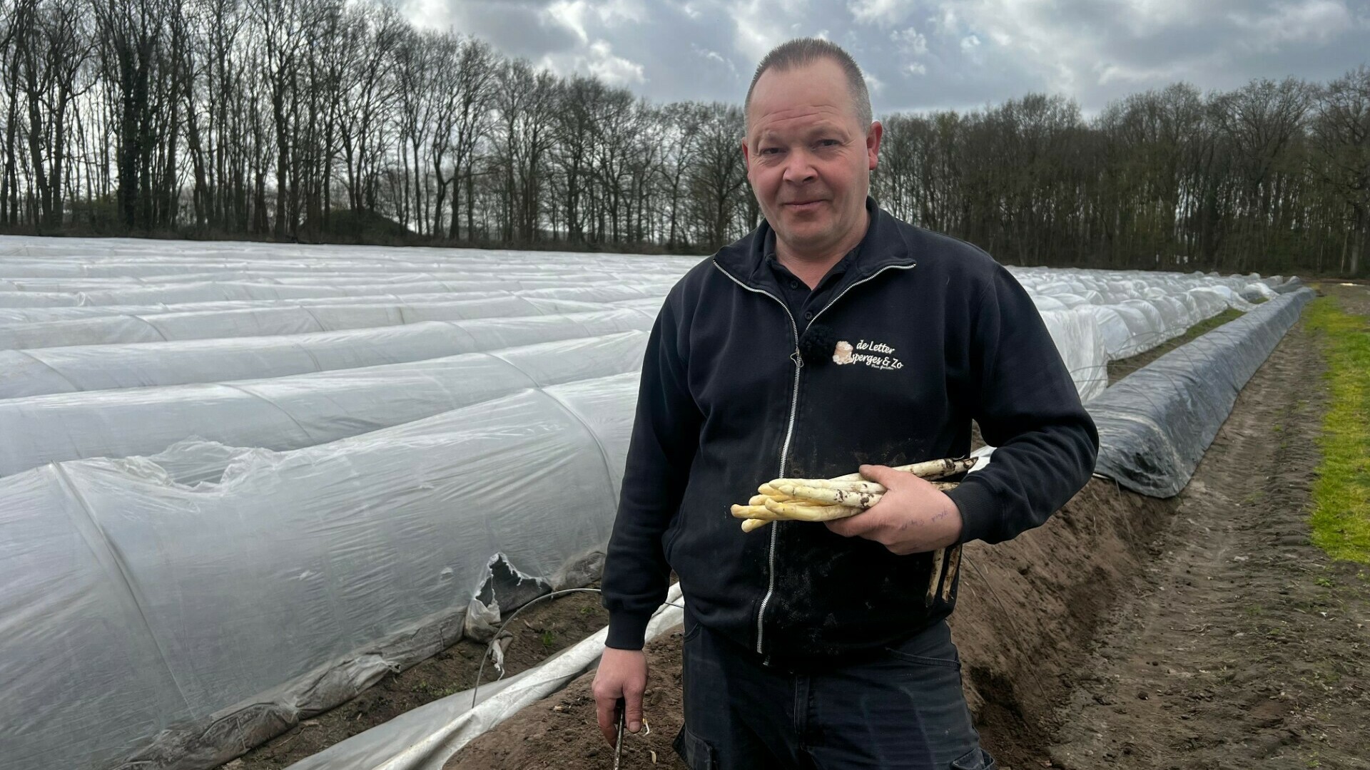 Gunstige weersomstandigheden zorgen voor vroege start aspergeseizoen: ‘Dit gebeurt niet vaak’