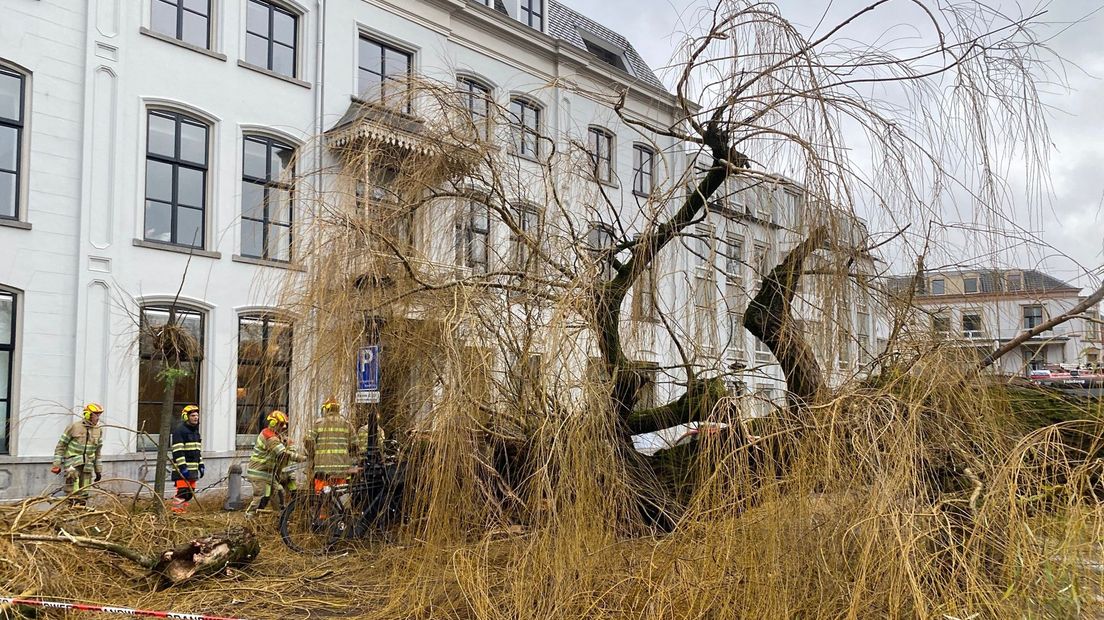 Boom valt op auto's Lepelenburg.