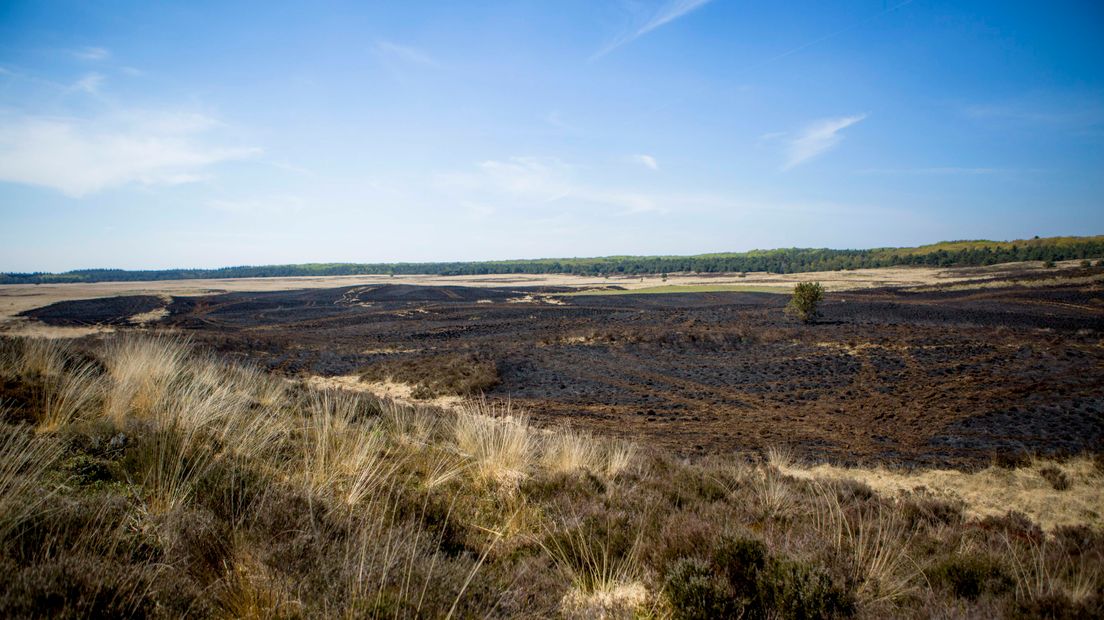 Een gebied ter grootte van vijftien voetbalvelden ging vrijdag in vlammen op. De brand was binnen enkele uren onder controle maar nablussen duurt vermoedelijk nog dagen. In deze fotoserie is de verwoesting die de brand veroorzaakte goed te zien.