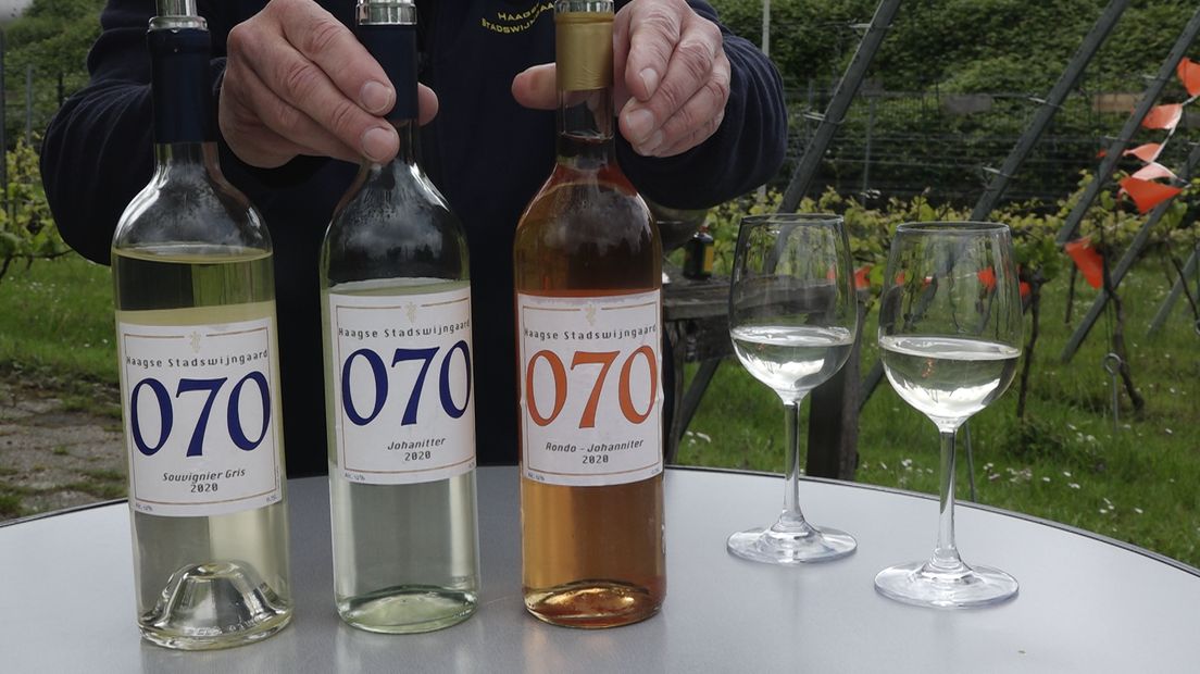 HTVJ-wijnen 2020 stadswijngaard