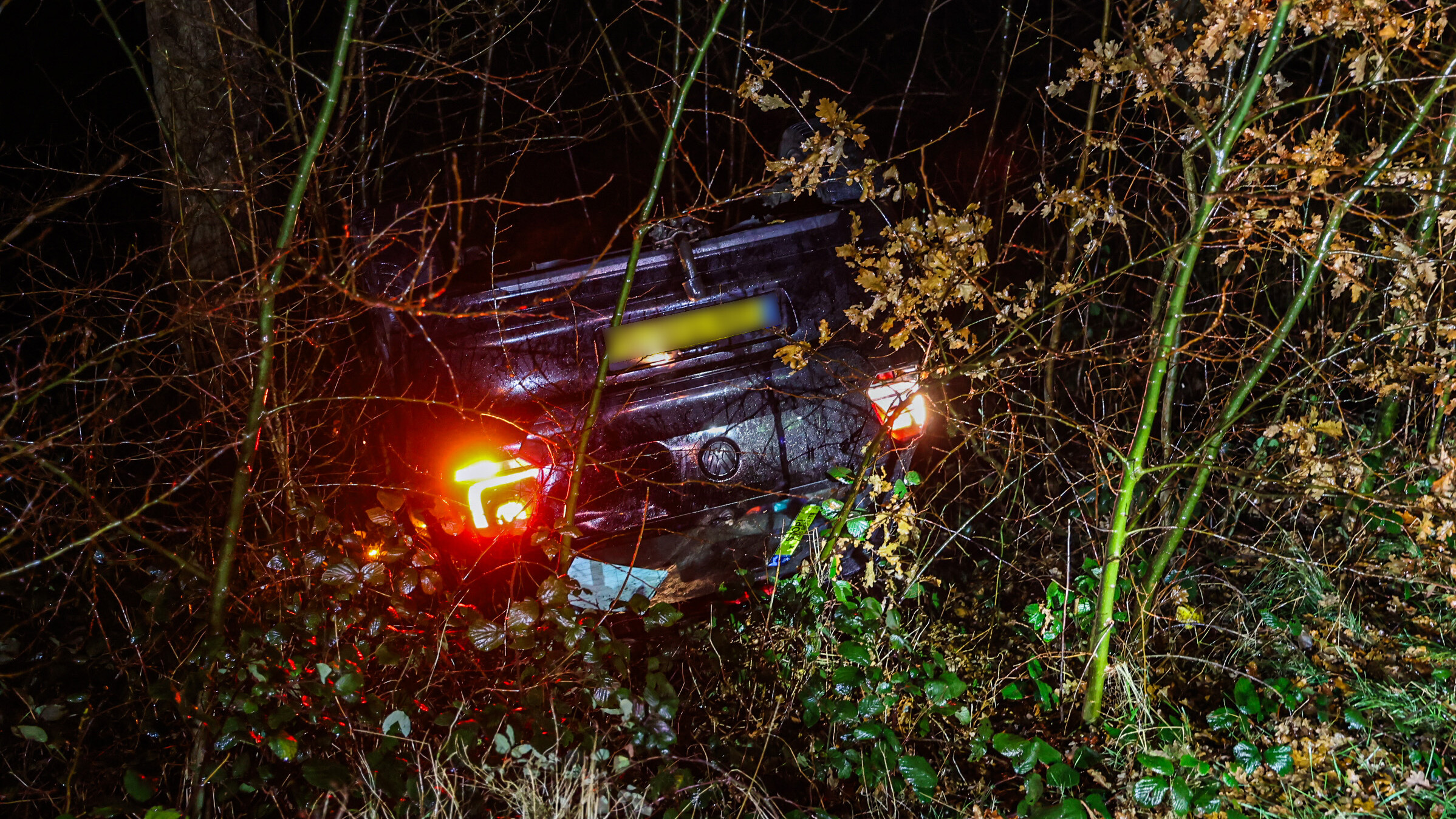 Auto op 'e kop yn de boskjes