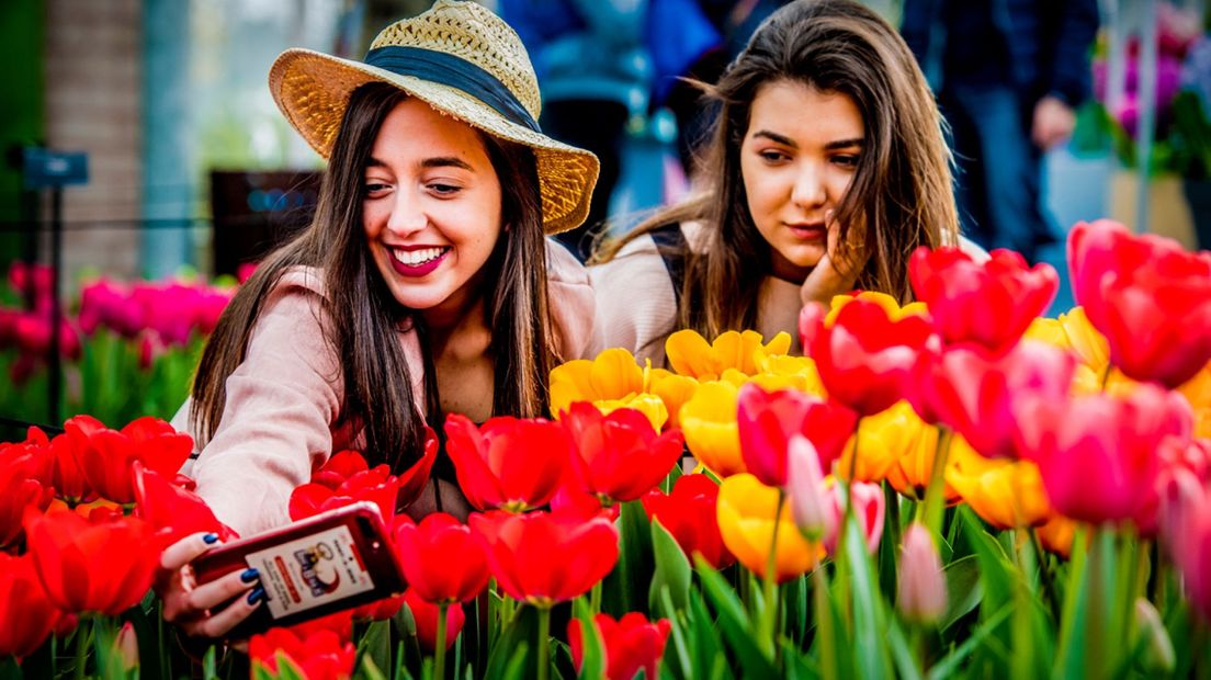 Bezoekers van de Keukenhof nemen een selfie met tulpen