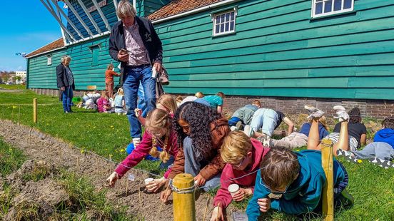 Oliemolen Zwolle 250 jaar: kinderen zaaien lijnzaad voor het maken van verf Nieuws