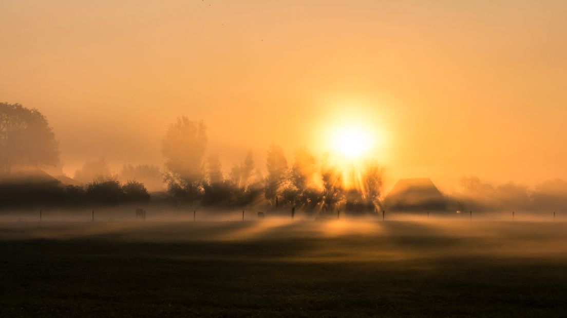 Gisterochtend hing er al wat nevel in Zeeland, dat leverde vooral mooie plaatjes op. Zoals hier net buiten Koudekerke.