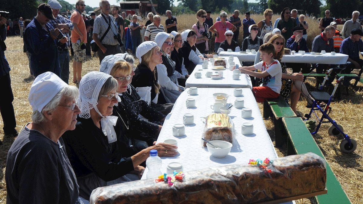 Gramsbergen in teken van oogstdag, oude tijden herleven op landgoed De Groote Scheere