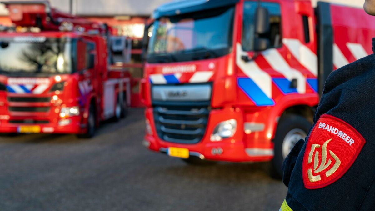 Brand bij bedrijf in Terneuzen snel onder controle: 'Personeel in veiligheid gebracht'