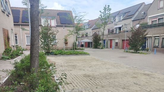 Terneuzenaren bouwen hun straat om naar een groen paradijsje voor nieuw