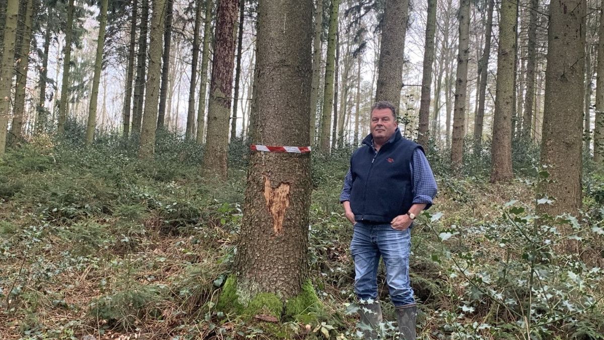 Oplossing voor traditionele mei-den van jonkheden gevonden