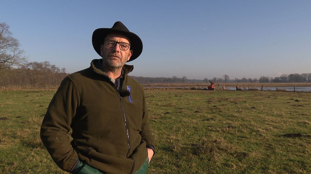 Wolfwerend raster: 'Voorkomen dat de wolf went aan het eten van schapen'