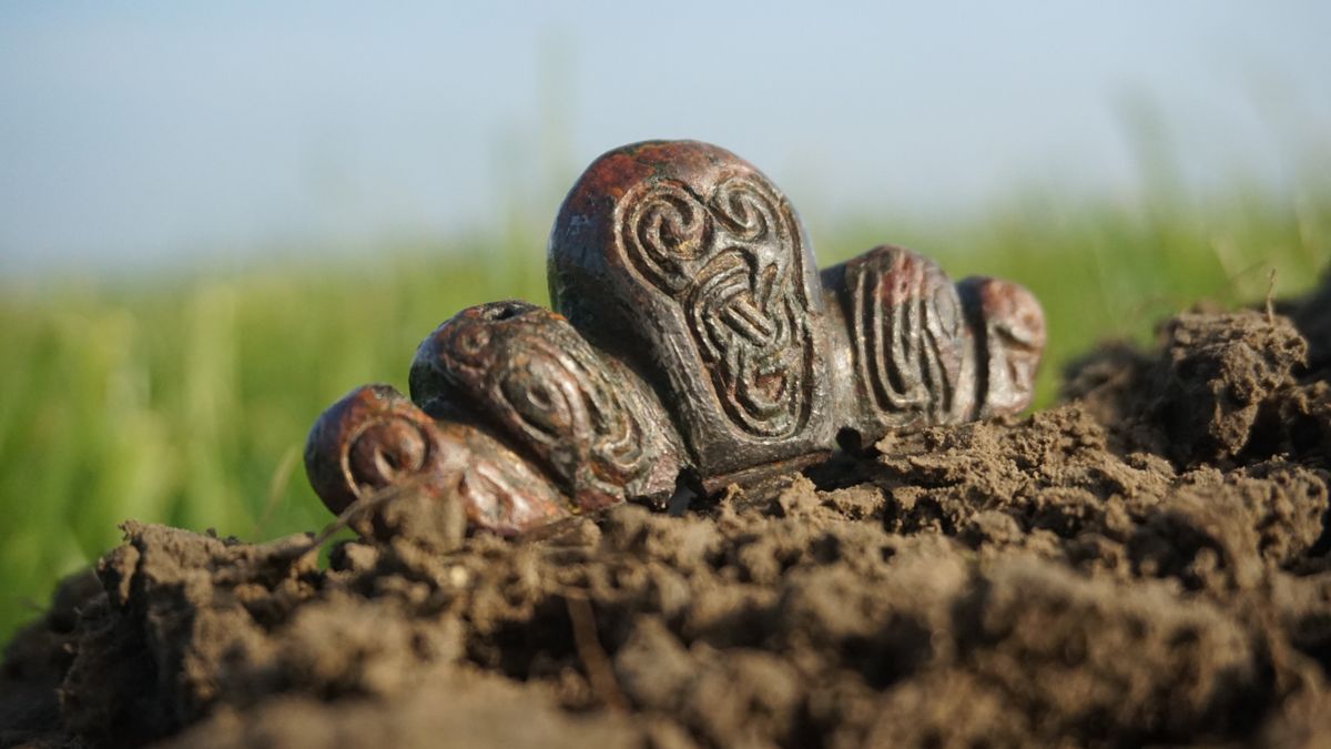Unieke vondst bij Witmarsum: pommelkap brengt Vikingtijd tot leven