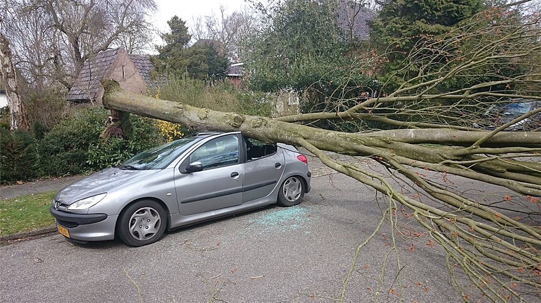In Zeist kwam een boom op een geparkeerde auto terecht.