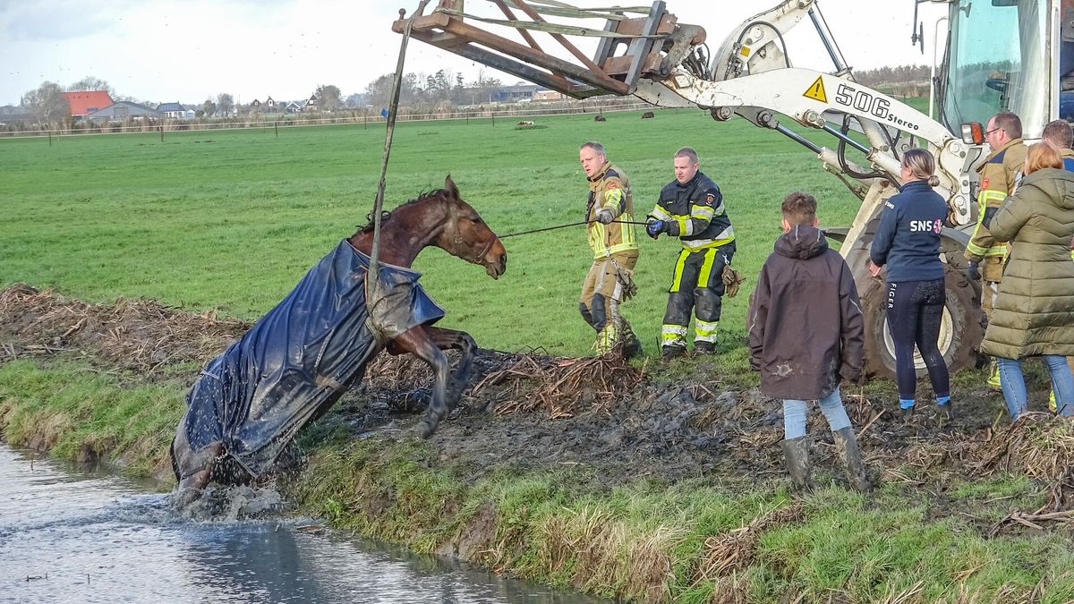 Fietser geschept door auto in Kollumersweach | Bestelbus in brand in Sneek