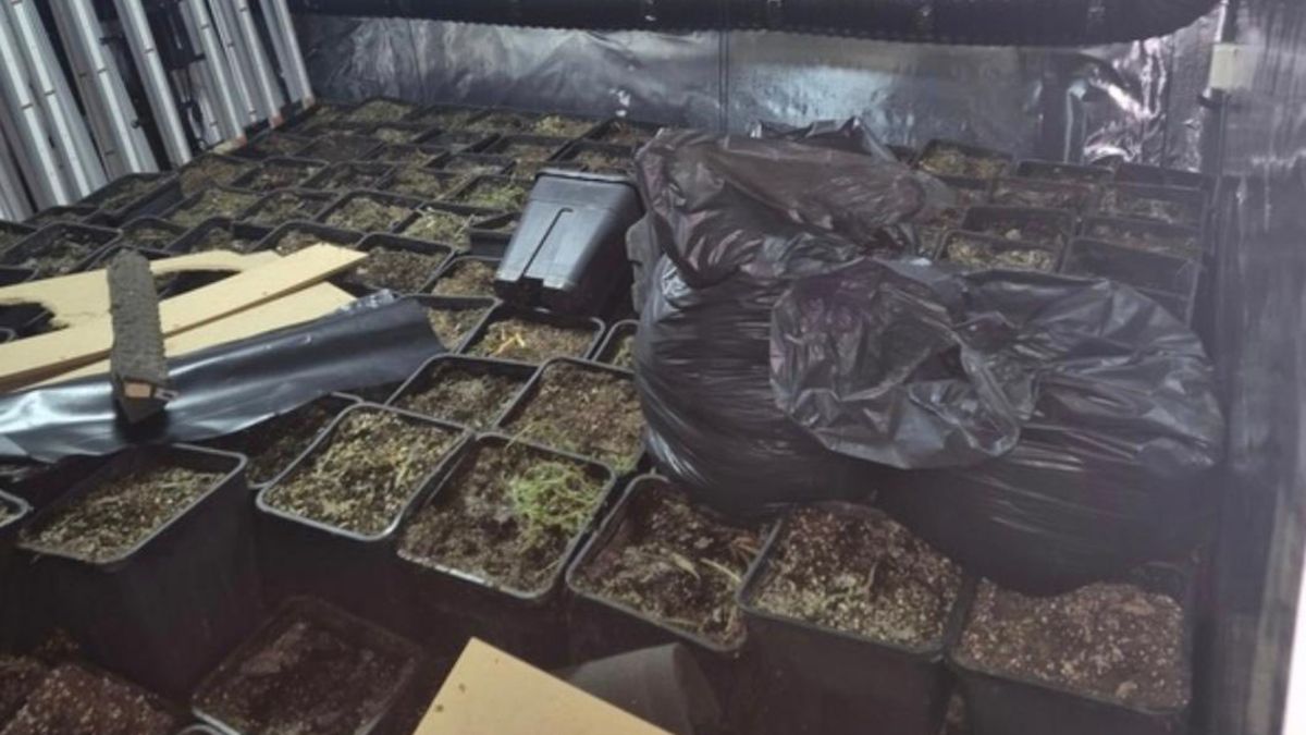 Politie slaat dubbelslag in Geleen: wapen, drugs en hennepkwekerij ontdekt