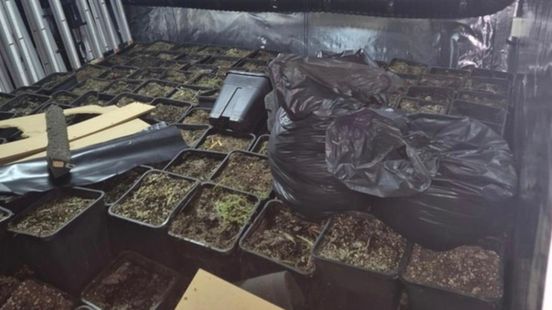 Politie slaat dubbelslag in Geleen: wapen, drugs en hennepkwekerij ontdekt Nieuws