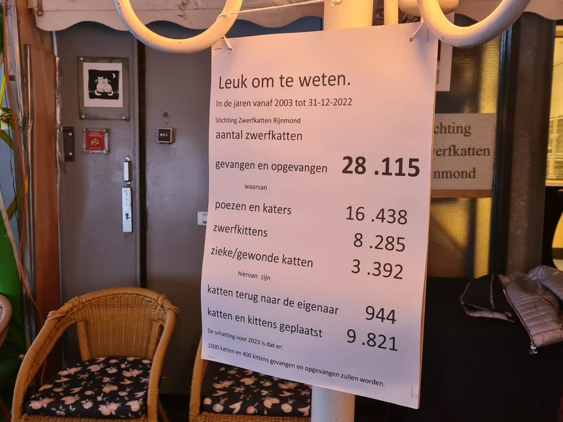 Stichting Zwerfkatten heeft in de afgelopen 20 jaar ruim 28.000 zwerfkatten opgevangen