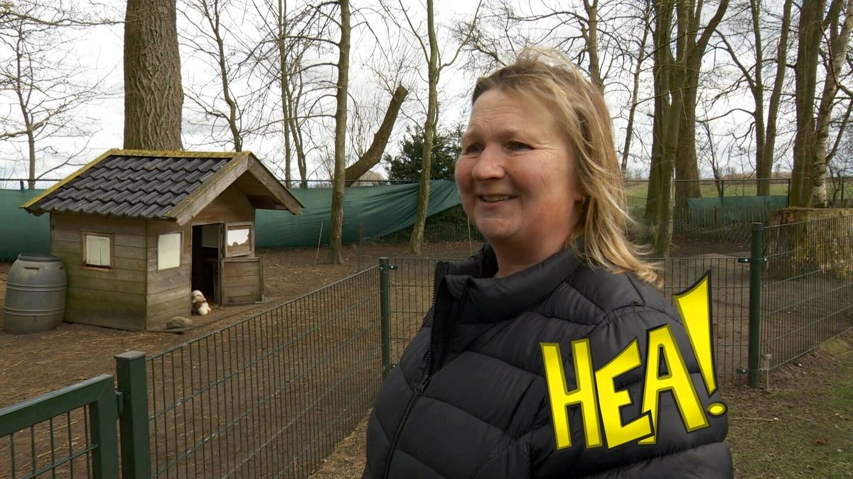 HEA! Geen Amsterdamse prikkels in Terwispel