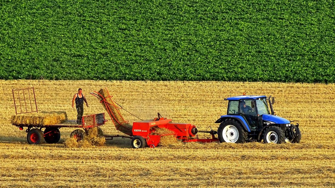 Oogsten van het land